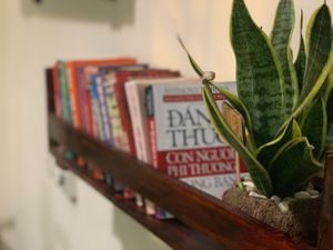 Enjoy your book while making a sip of coffee  at Earth Cafe in Dong Hoi