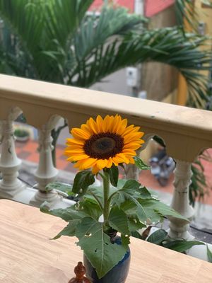 Balcony in the afternoon  at Earth Cafe in Dong Hoi