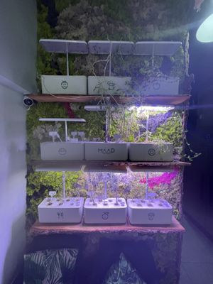 Hydropod - a little empty!  at MAAD in South West London