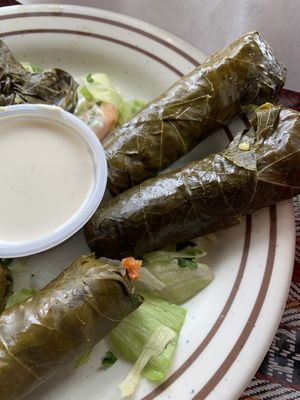Stuffed grape leaves  at Jerusalem in Denver