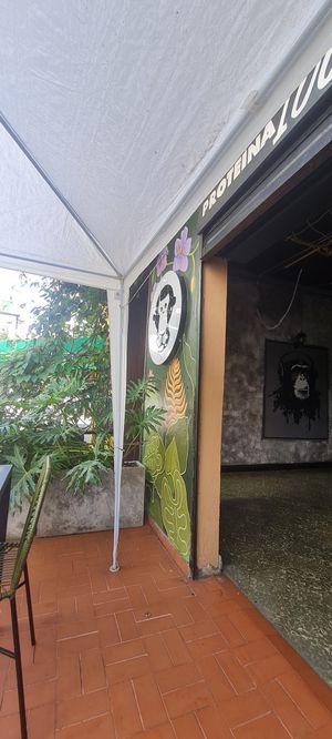  at La Jungla Veg in Bucaramanga