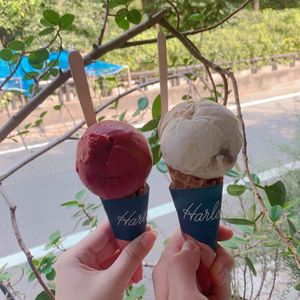 vegan mix berry; vegan coconut&maple cookie at Harlow Ice Cream in Tokyo