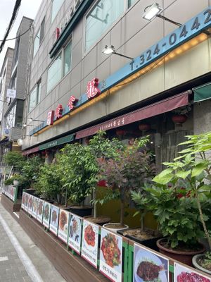   at Hwang-Geumlyong 황금룡 in Seoul