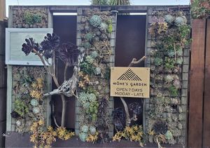  at Hone's Garden in Northland