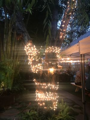 Courtyard lights at night at Olay's Thai Lao Cuisine in Honolulu