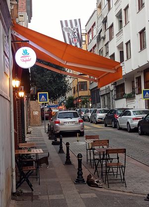 Outside at TURP in Istanbul