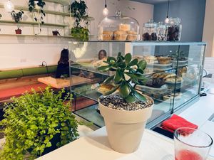 Plant based!  at Bosque Urbano in San Jose