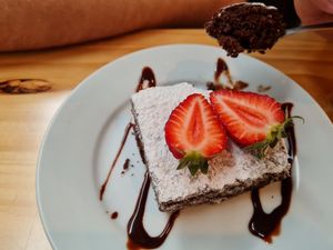 Brownie at Bosque Urbano in San Jose