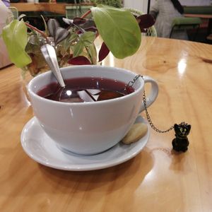 . at Bosque Urbano in San Jose