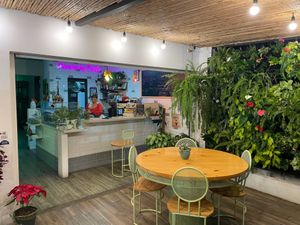 So green and full of live at Bosque Urbano in San Jose