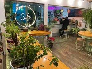 Small “Bosque” inthe middle of busy Escalante.  at Bosque Urbano in San Jose