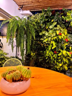  at Bosque Urbano in San Jose