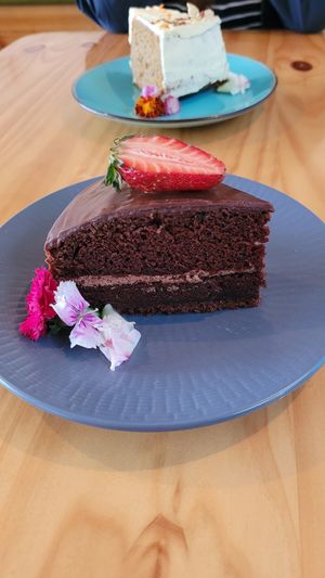  at Bosque Urbano in San Jose