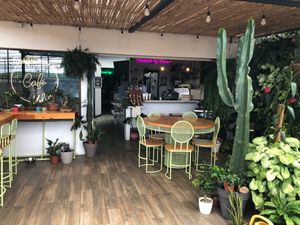  at Bosque Urbano in San Jose