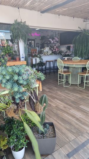  at Bosque Urbano in San Jose