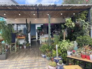 Such a lovely location - welcoming and an oasis of calm  at Bosque Urbano in San Jose