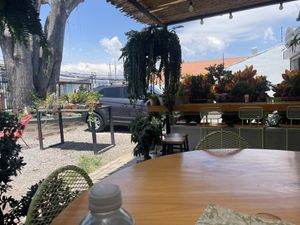   at Bosque Urbano in San Jose