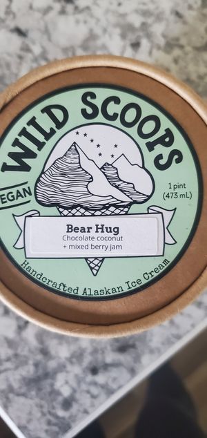 Vegan icecream  at Wild Scoops - Benson Blvd in Anchorage