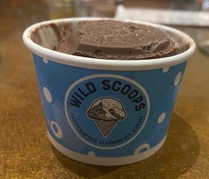 Kincaid coconut chocolate  at Wild Scoops - Benson Blvd in Anchorage