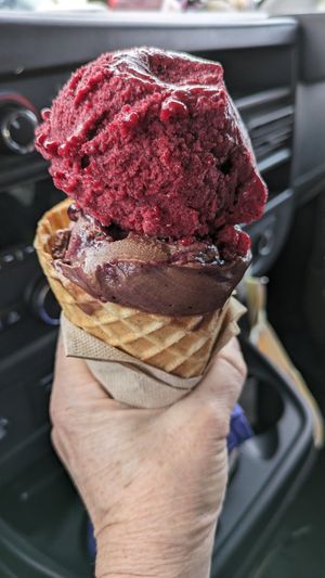  at Wild Scoops - Benson Blvd in Anchorage