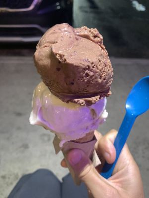 vegan ice cream   at Wild Scoops - Benson Blvd in Anchorage