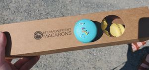 Vegan birthday cake & lemon flavors at Mt. Magnificent Macarons in Eagle River