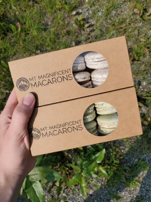 Hazelnut chocolate & pistachio flavors! at Mt. Magnificent Macarons in Eagle River