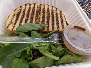Veggie Panini at Cafe Metropole in Santa Catalina Island