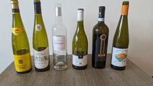 Vegan wine tasting at Holy Cannoli in Blackburn