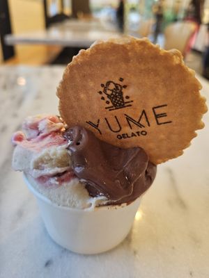 Vegan Amarena Cherry Chocolate Chip & Vegan Chocolate Heaven at Yume Gelato in Sacramento