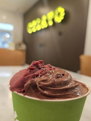 Vegan Chocolate Heaven & Vegan Berries in the Woods at Yume Gelato in Sacramento