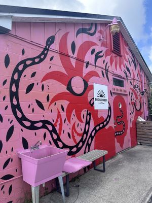 Back of the building  at Buena Onda Cafe in St Augustine