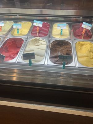 All 8 vegan flavors  at Helado Bonito in Mexico City