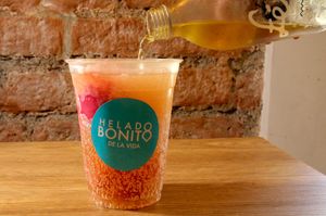 Vegan sorbet with sugar free soda at Helado Bonito in Mexico City