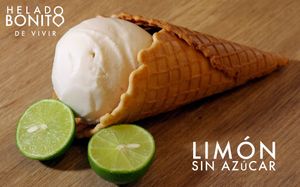 Vegan & sugar free! at Helado Bonito in Mexico City