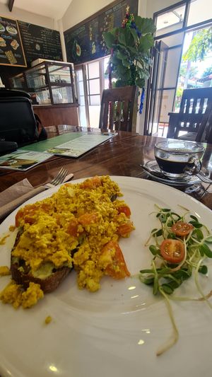 Tofu scramble with avocado on sourdough toast  #Veganuary at Nang Sabai Cafe Artisan Bakery in Koh Samui