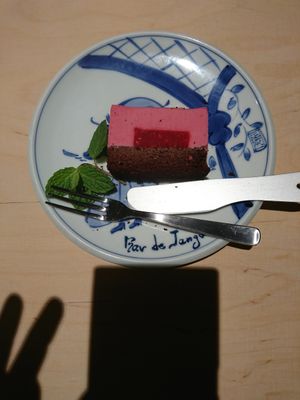 Raspberry cake! at Vegan Bistro Jangara in Tokyo