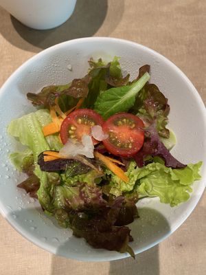 Vegan salad   at Vegan Bistro Jangara in Tokyo