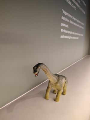  at Vegan Bistro Jangara in Tokyo