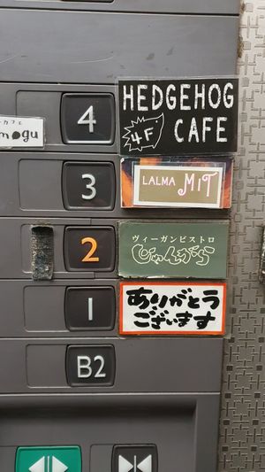 at Vegan Bistro Jangara in Tokyo