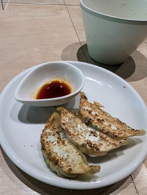 Vegan gyoza as part of the set menu at Vegan Bistro Jangara in Tokyo