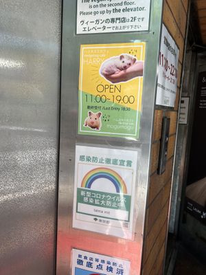 Take elevator to second floor   at Vegan Bistro Jangara in Tokyo