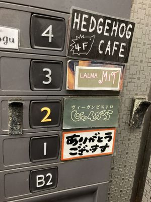 Take the elevator to the 2nd floorr  at Vegan Bistro Jangara in Tokyo