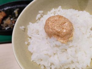 純素明太子蛋黃醬飯，很像真的  at Vegan Bistro Jangara in Tokyo