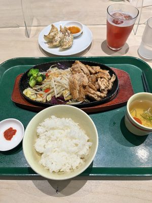 Juju grill and gyozas  at Vegan Bistro Jangara in Tokyo