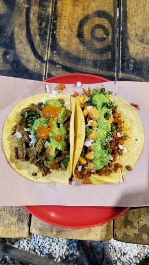  at Taquería Vegana La Gata Negra in Cancun