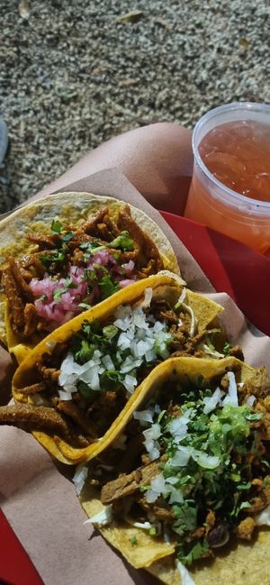 Mi lugar de tacos favorito en Cancun at Taquería Vegana La Gata Negra in Cancun