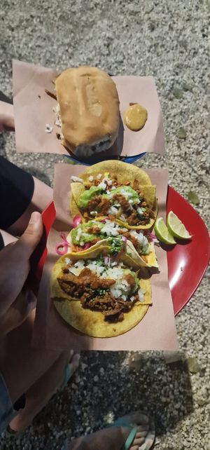 3 different tacos at Taquería Vegana La Gata Negra in Cancun