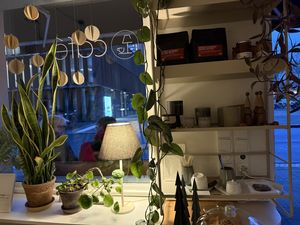 inside  at Südlicht Cafe in Cologne