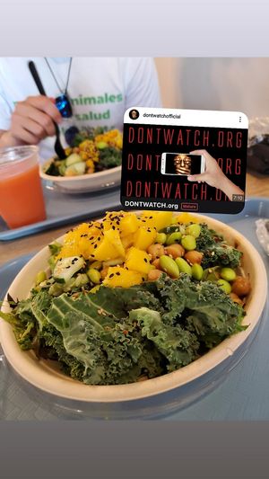 Peas signature bowl (with ponzu sauce, *shoyu sauce NOT VEGAN, contains honey) at Stuffed Avocado Shop - Old San Juan in San Juan